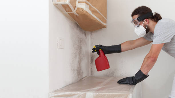 Professional Bathroom Mold Removal technician working in College Park, MD